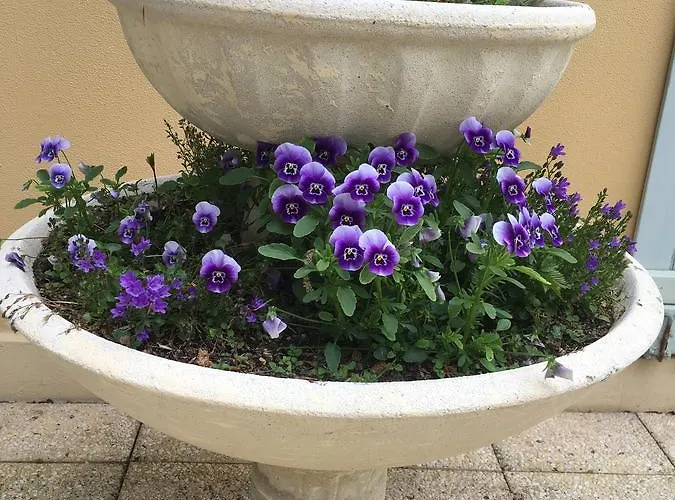 Au Bois Dormant D Hotes Bed & Breakfast